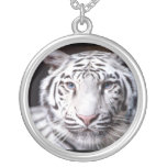 White Bengal Tiger Photography Necklace