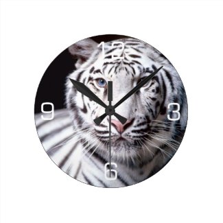 White Bengal Tiger Photography Wallclocks