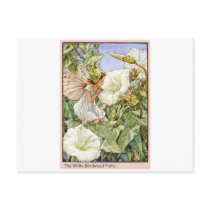 White Bindweed Fairy Postcards