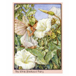 White Bindweed Fairy T-shirt