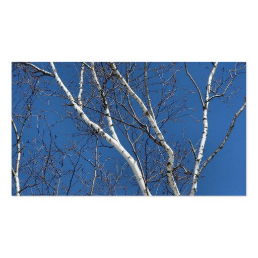 White Birch Tree Blue Sky Nature Business Card (back side)