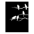 postcard - Designing Birds
