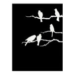 White Bird Silhouette Poster