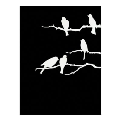 White Bird Silhouette Poster by Lotacats