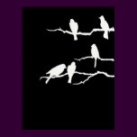 White Bird Silhouette Poster