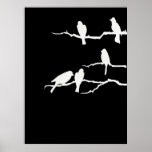 White Bird Silhouette Poster