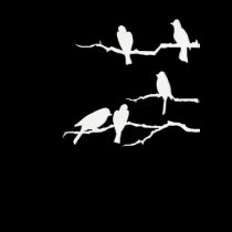 White Bird Silhouette T-Shirt