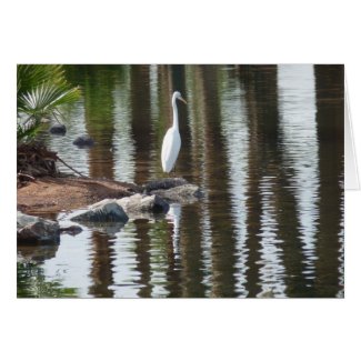 White bird with reflected palm trees card