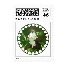 White Bleeding Heart Postage Stamp