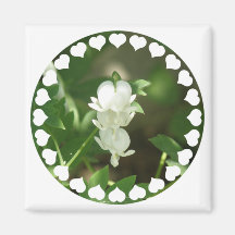 White Bleeding Heart Square Magnet