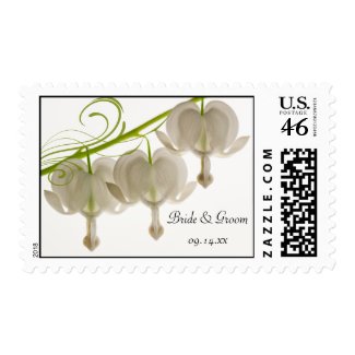 White Bleeding Heart Wedding Postage Stamps stamp