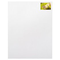 White Bleeding Hearts Photo Customized Letterhead