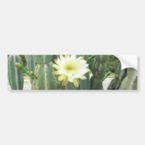 White Bloom On Cactus bumper stickers