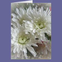 white blooms 3 cards