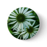 white-blooms button