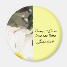 White Blooms Magnets