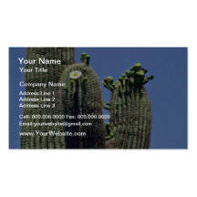 White Blooms On Saguaro Cactus flowers Business Cards