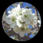 White Blossom Cluster Sticker