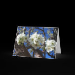 White Blossom Clusters Card