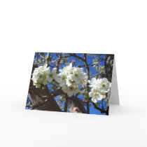 White Blossom Clusters Card