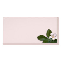 White Blossom photo cards by dotandme White Blossom photo cards