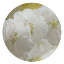 White Blossom Plate plates