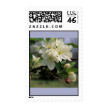 White Blossom Postage Stamps