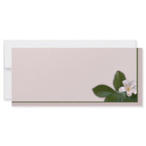 White Blossom rack cards
