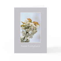 white blossom sympathy card italian