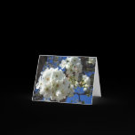 White Blossoms Card