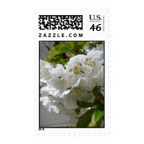 White Blossoms II stamps
