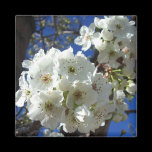 White Blossoms Magnet