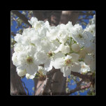 White Blossoms Magnet