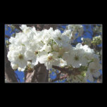 White Blossoms Sticker