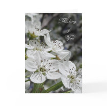 White Blossoms Sympathy Card by jereeb White Blossoms Sympathy Card