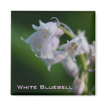 White Bluebell Magnet