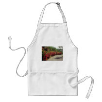 White Bougainvillea along road in St. Thomas flowe Apron