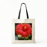 White Bougainvillea blossom, Prospect Plantation, Tote Bag