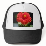White Bougainvillea blossom, Prospect Plantation, Mesh Hats