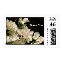 White Bougainvillea Flowers Postage postage