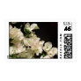 White Bougainvillea Flowers Stamp