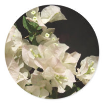 White Bougainvillea Flowers Sticker
