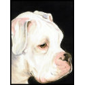 white boxer dog art postage stamp d172506048740176674anr9r 125 More Boston and Boxer Art presented by Zazzle
