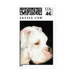 "White Boxer" Dog Art Postage Stamp