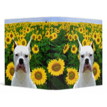 White boxer dog in sunflowers binder