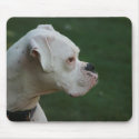 White Boxer Dog Photo Mouse pad mousepads