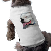 White Boxer Dog T-shirt pet clothing by ritmoboxer White Boxer Dog T-shirt pet clothing