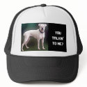 White Boxer hat