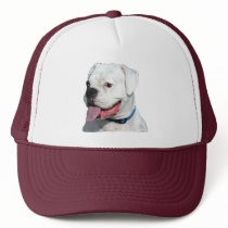 White Boxer hat