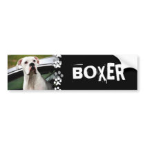 White Boxer in a Car Bumper Stickers